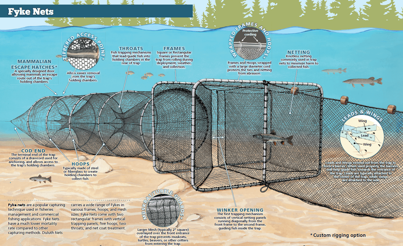 Fyke Nets (2’x5′, 2’x6′, 3’x4′, 3’x5′, 3’x6′, 4’x5′, & 4’x6’6″)