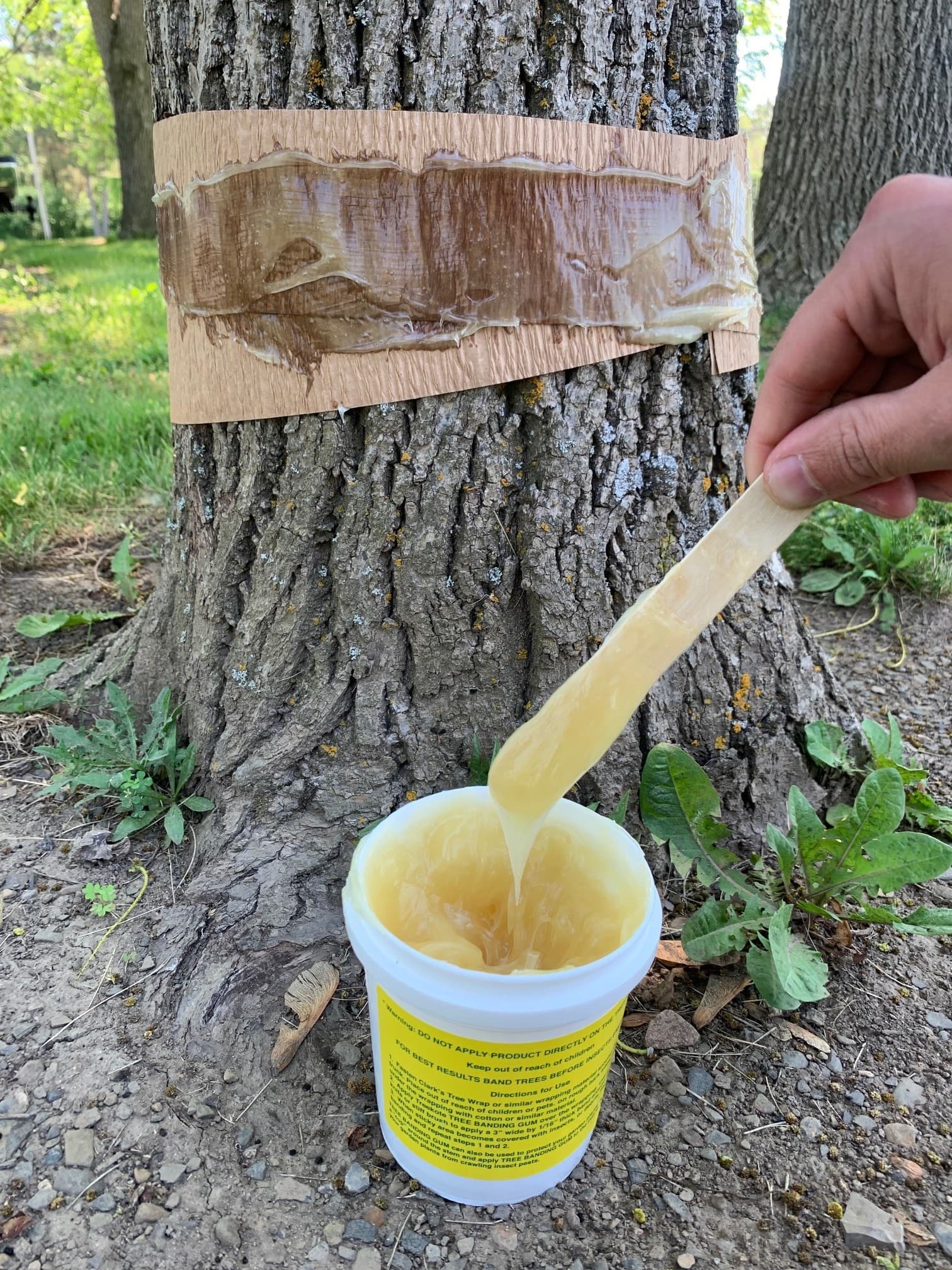 Treekote Banding Kit - thumbnail 3