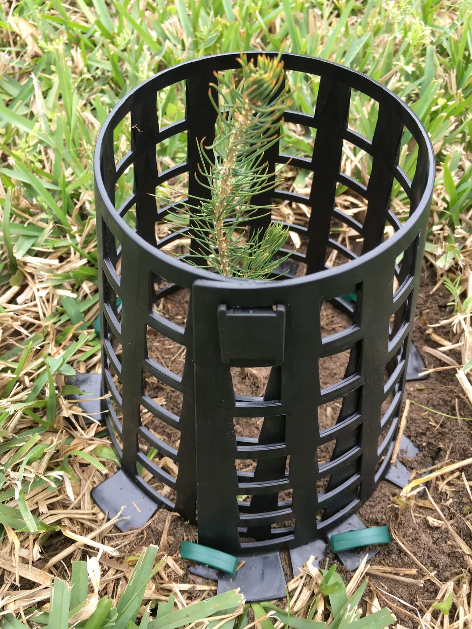 Plant Knight Tree and Plant Protector - thumbnail 4