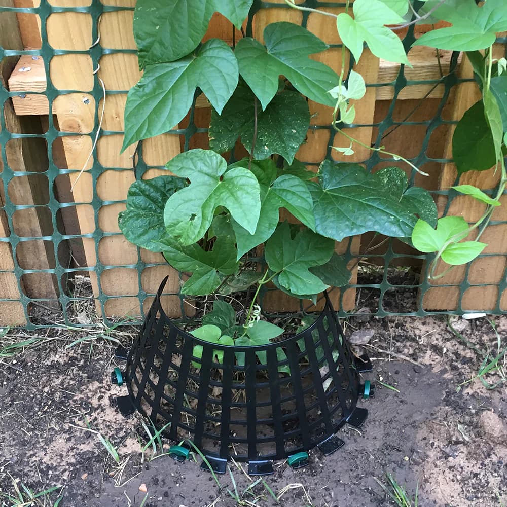Plant Knight Tree and Plant Protector - thumbnail 6