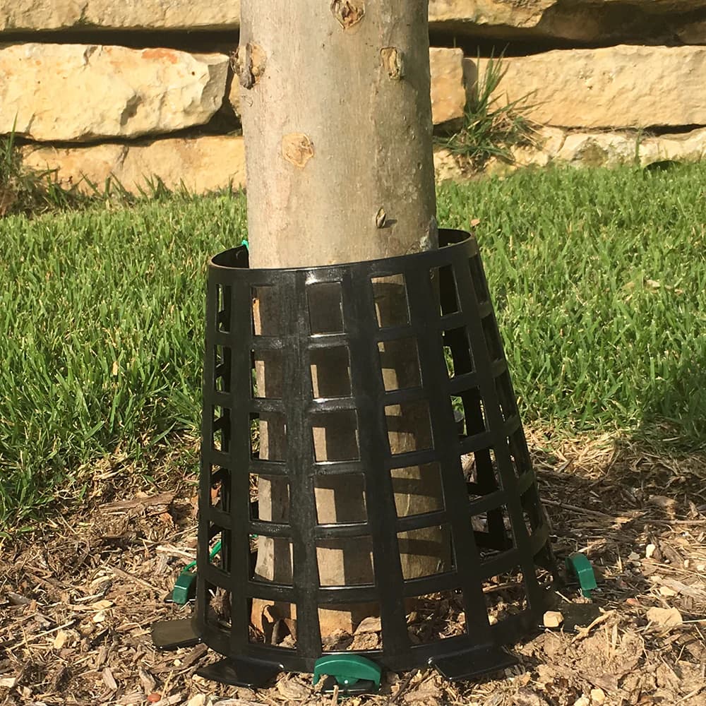 Plant Knight Tree and Plant Protector - thumbnail 5