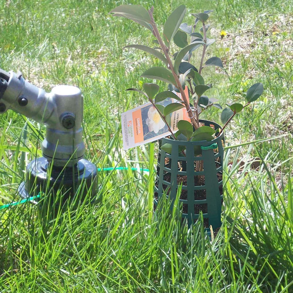 Plant Knight Tree and Plant Protector - thumbnail 3