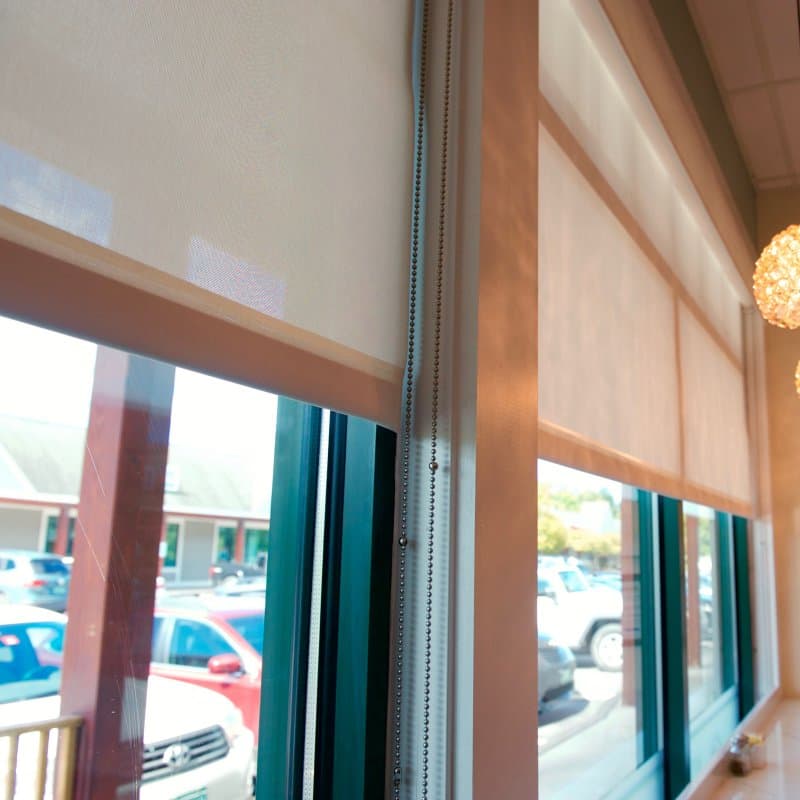 Chain Operated Roller Shades - thumbnail 2