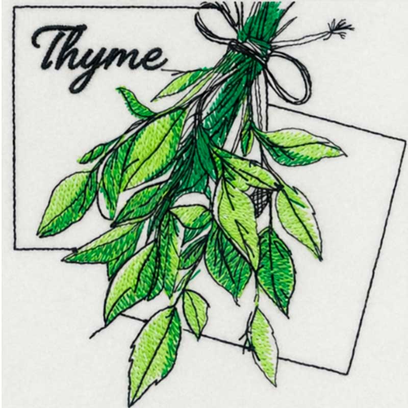 Embroidery Design: Kitchen Herbs Thyme