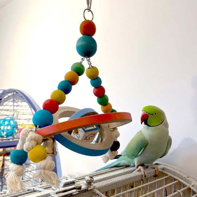 Spin and Swing Bagels Parrot Toy