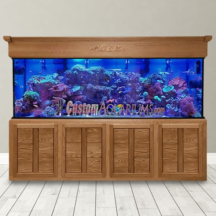 300 Gallon* Glass Saltwater Aquarium
