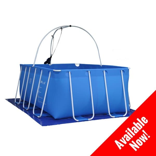 iPool I (Heater Set Option Available)