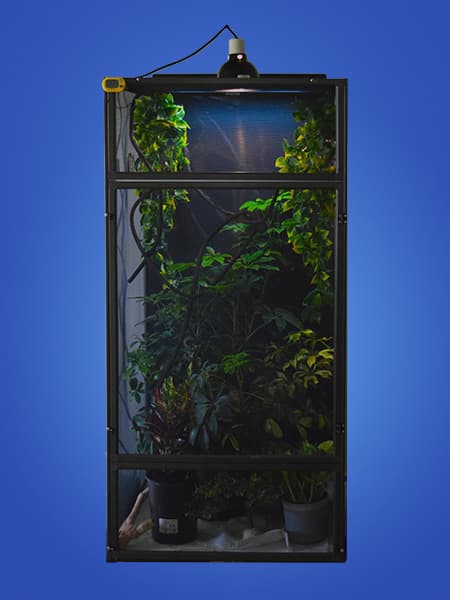 Large Chameleon Kit