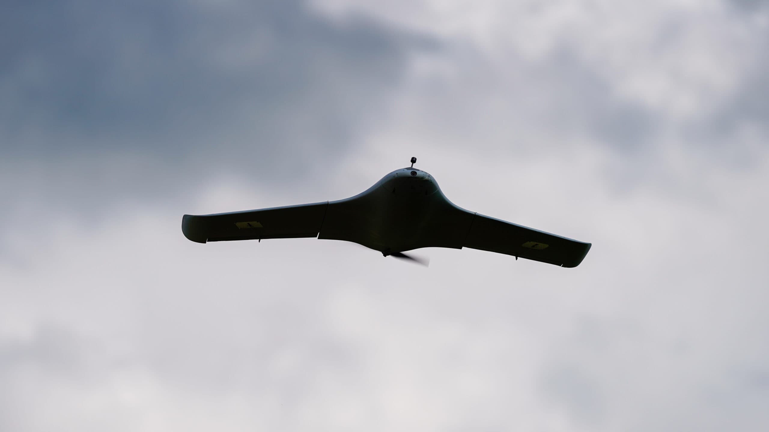 Super Stingray - thumbnail 9