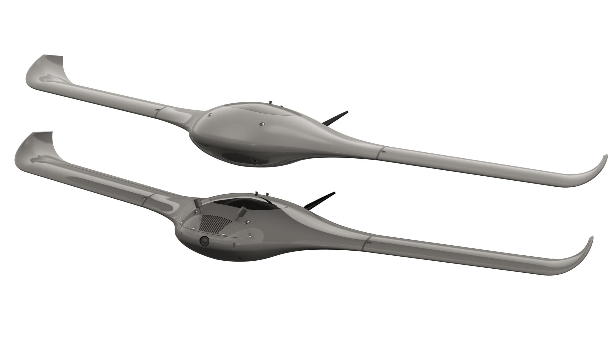 Super Stingray - thumbnail 6