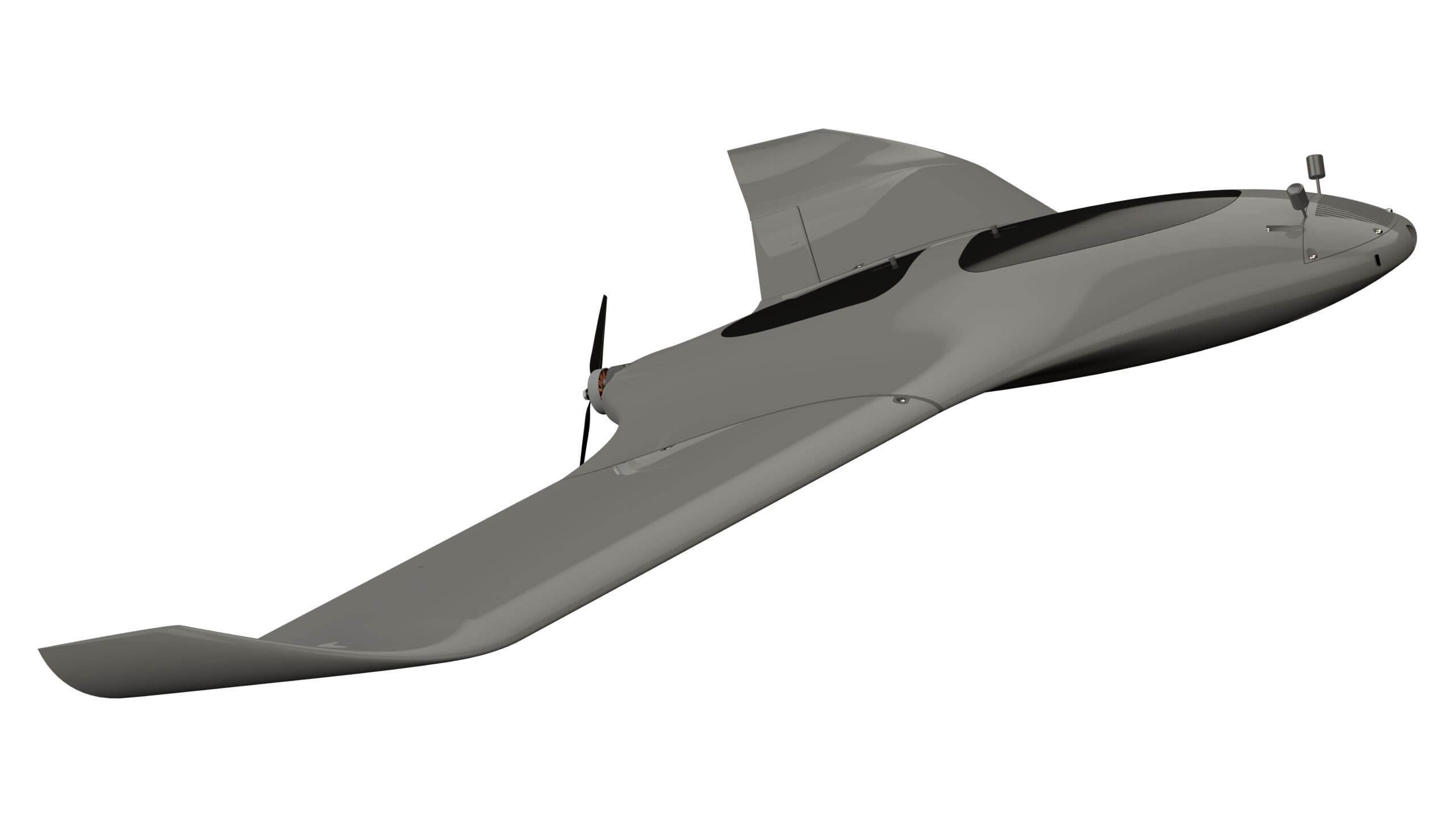 Super Stingray - thumbnail 5