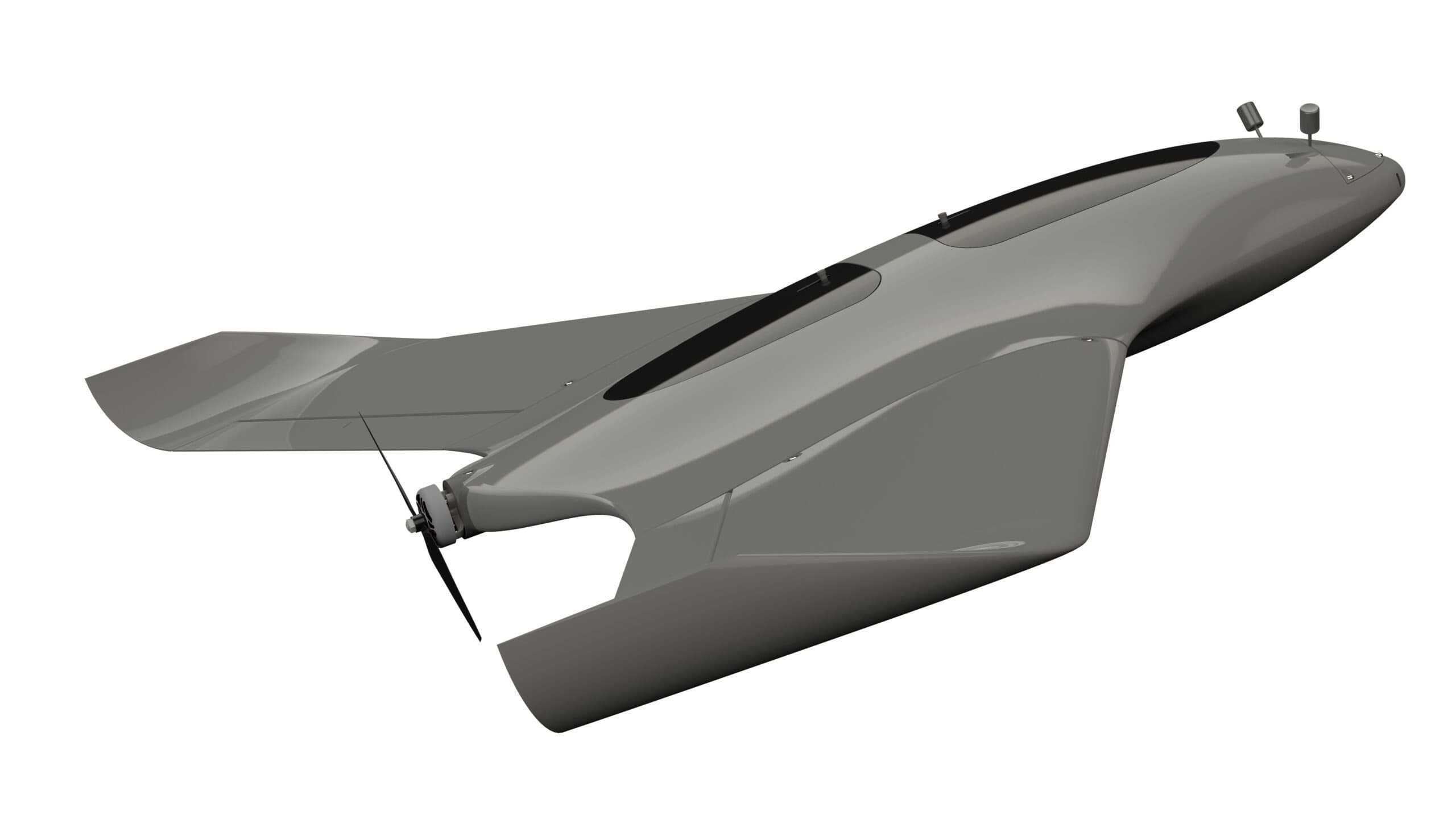 Super Stingray - thumbnail 2