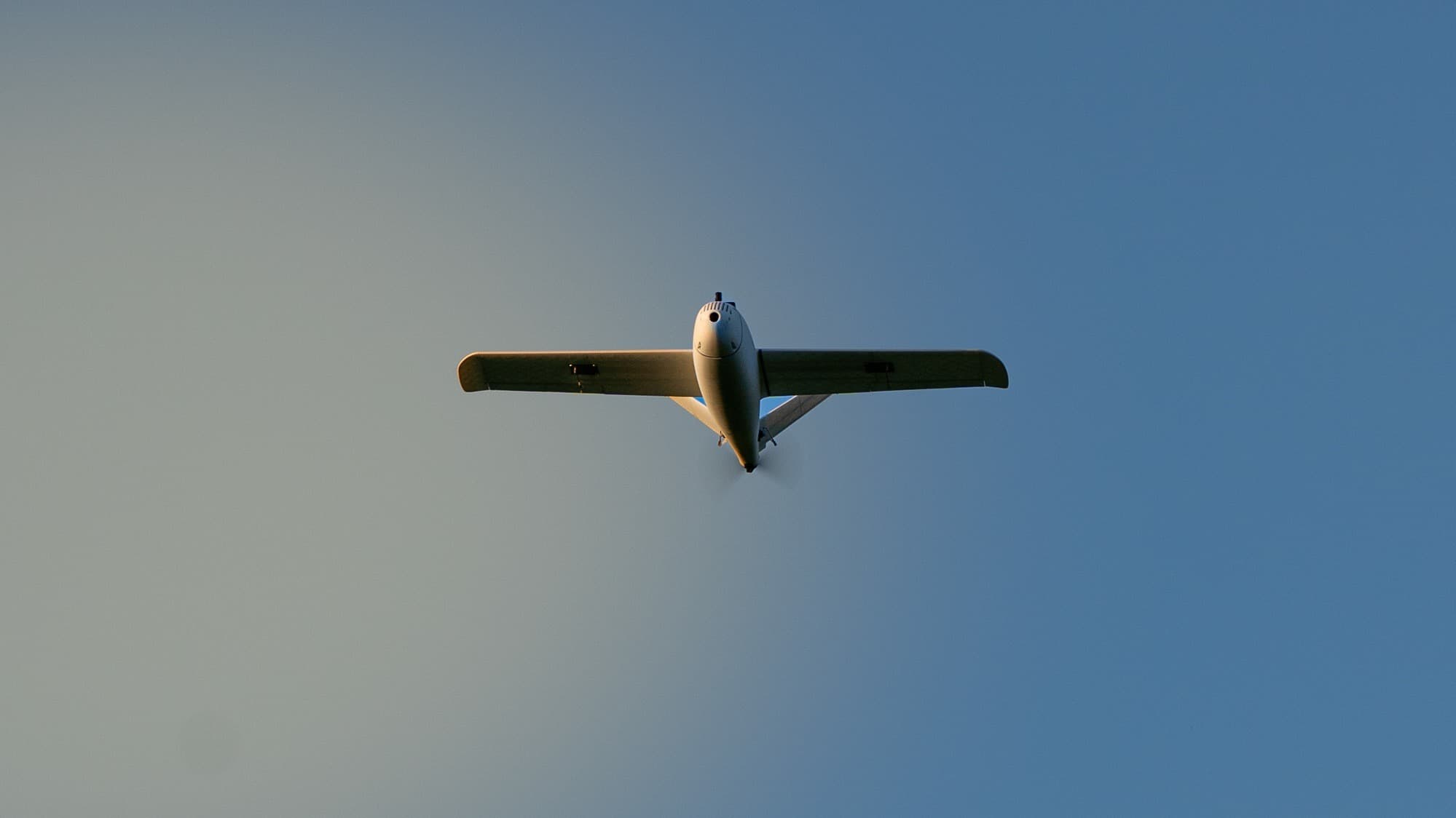 pico Talon - thumbnail 4