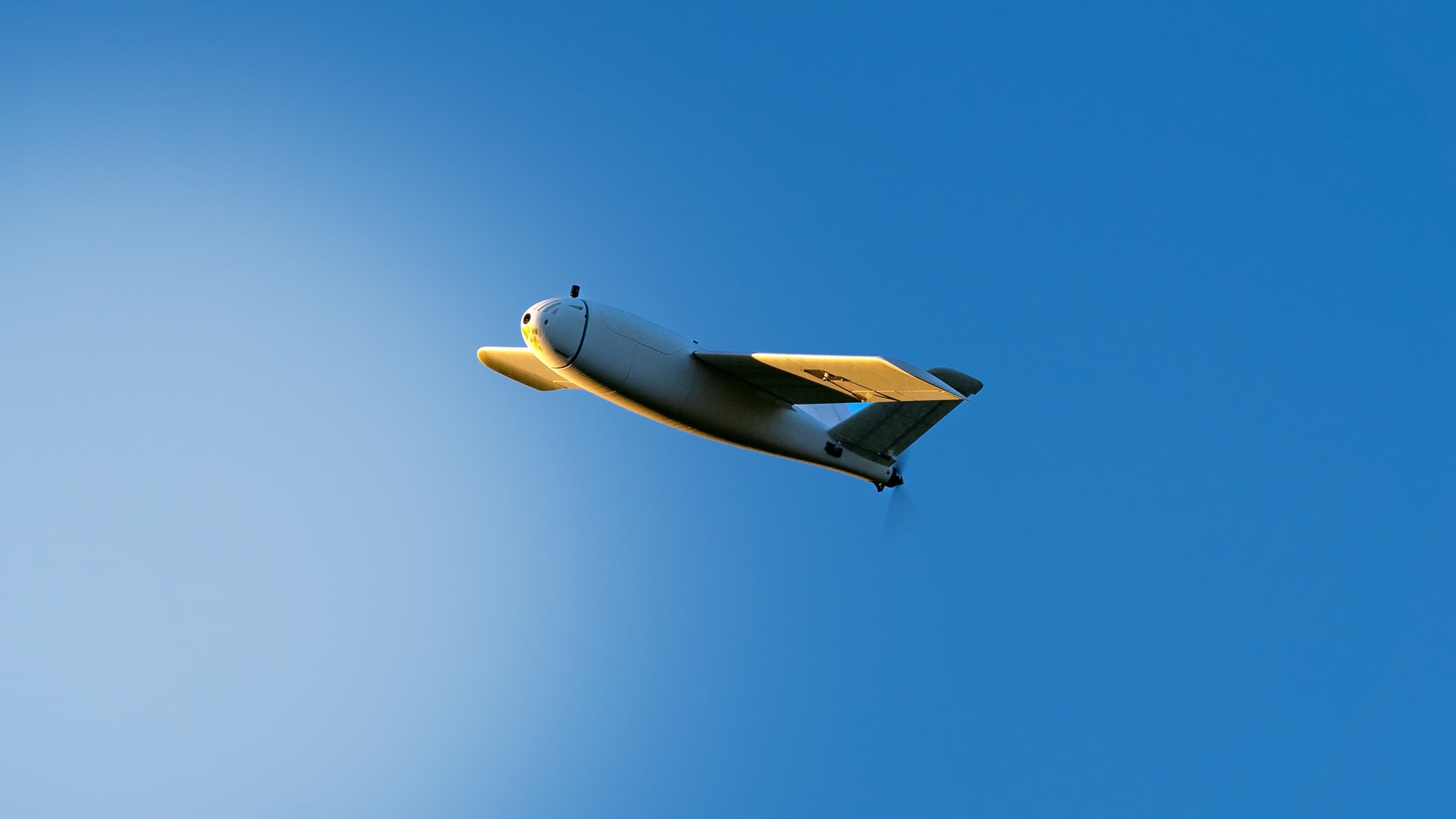 pico Talon - thumbnail 8