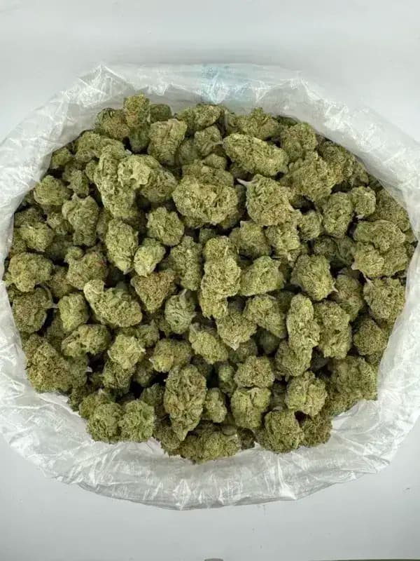 Blue Dream THCa Flower – Premium Indica (30.29%) - thumbnail 2