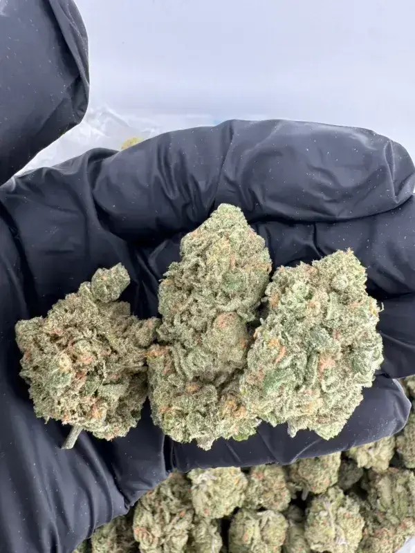 Blue Dream THCa Flower – Premium Indica (30.29%) - thumbnail 3