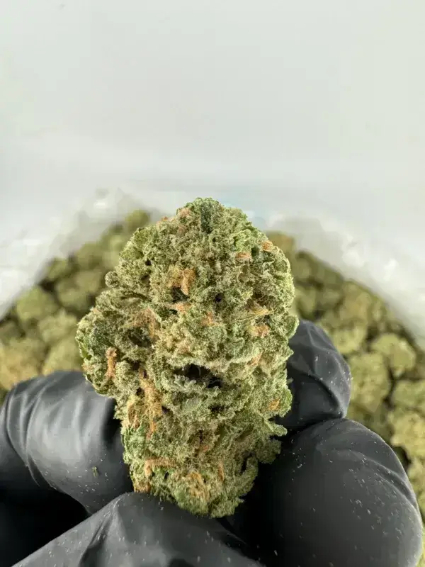Blue Dream THCa Flower – Premium Indica (30.29%) - thumbnail 4
