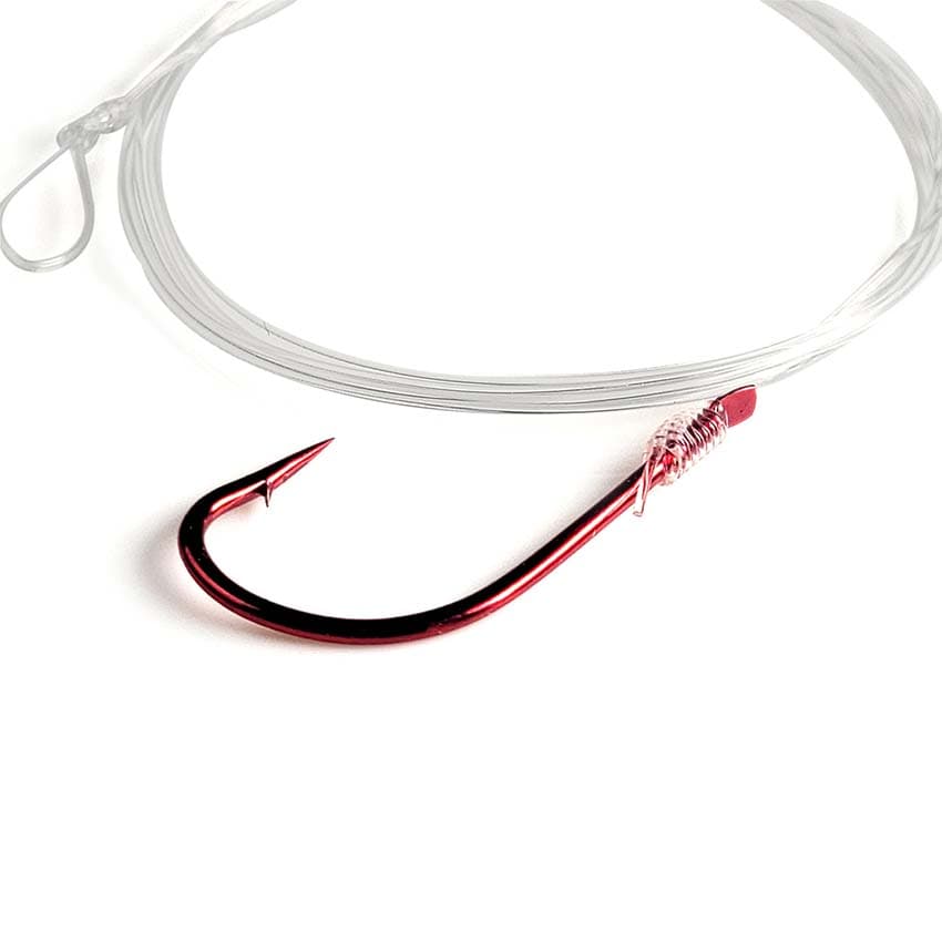 French Hook Snell - thumbnail 6