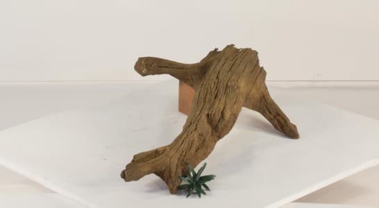 Large Rock & Water Garden Collection - thumbnail 5
