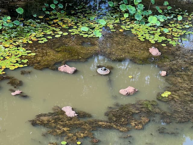 Bloat of Hippos - thumbnail 4