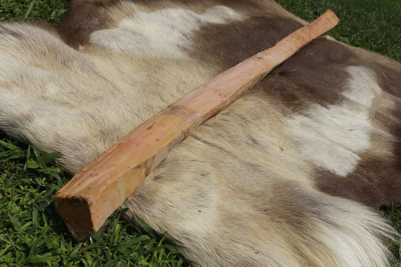 #15 Osage Stave 66″ long