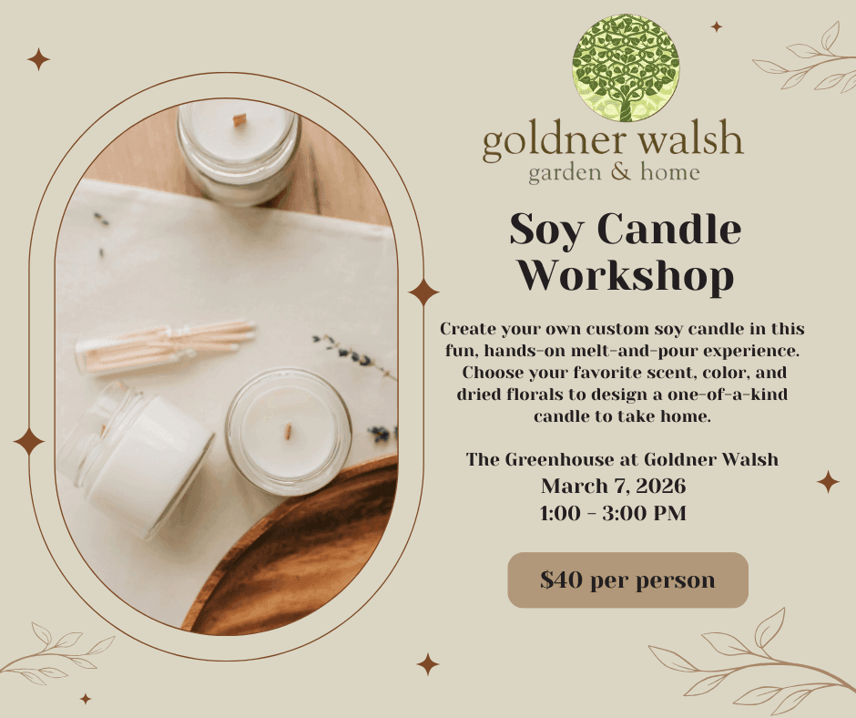 Soy Candle Workshop – Soy Candle Workshop