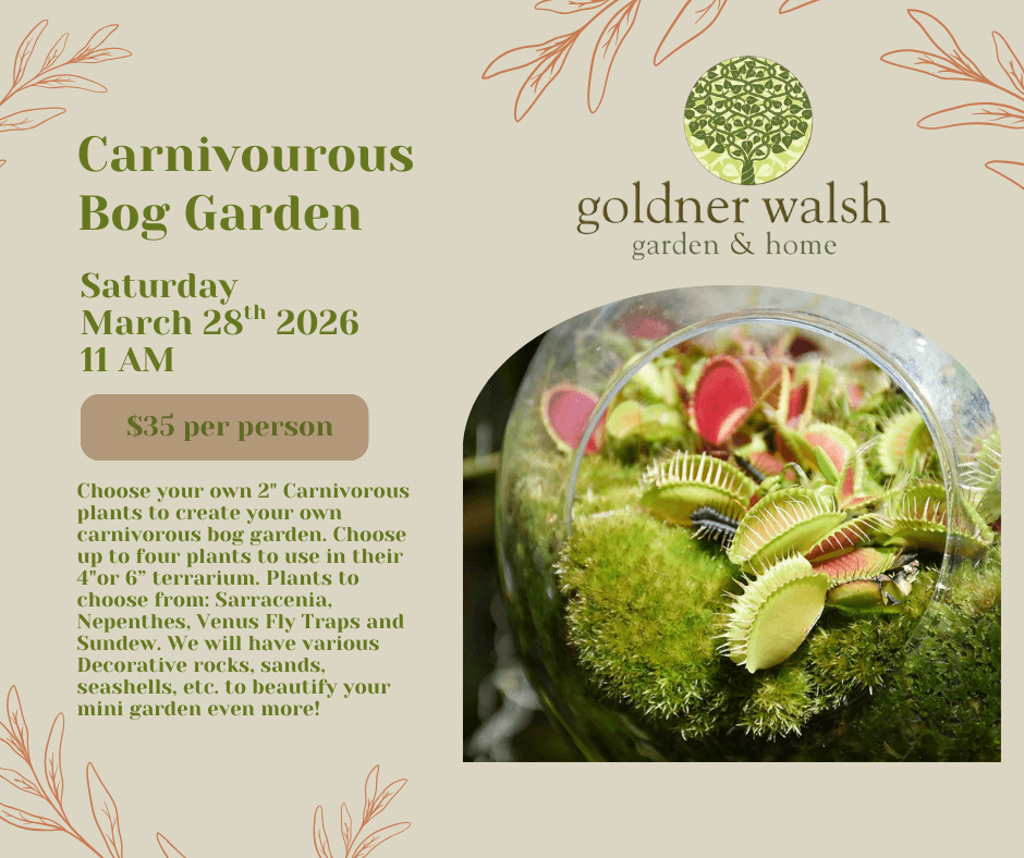 Carnivourous Bog Garden Workshop – Bog Garden Workshop