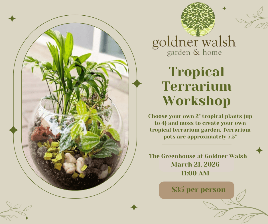 Tropical Terrarium Workshop – Tropical Terrarium Workshop