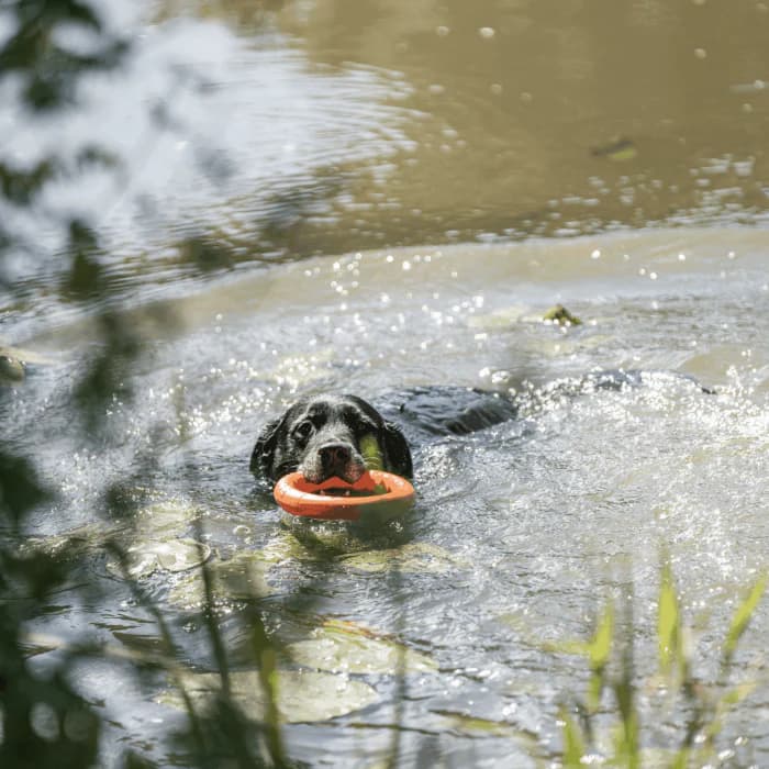 Herm Sprenger Floating Play Ring - thumbnail 3