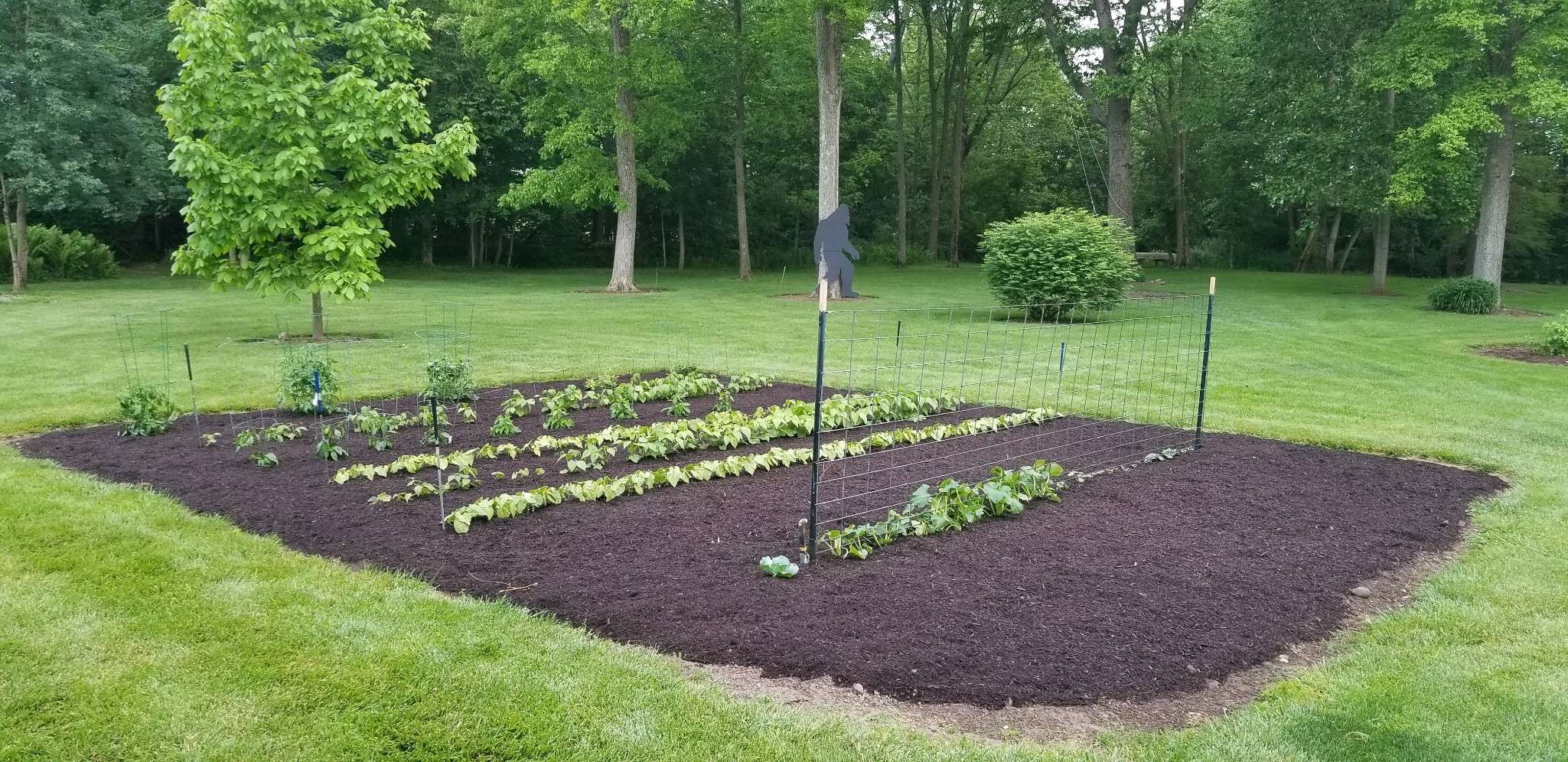 Forrest Fines® Hardwood Bark Mulch - thumbnail 5