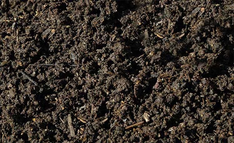 Compost