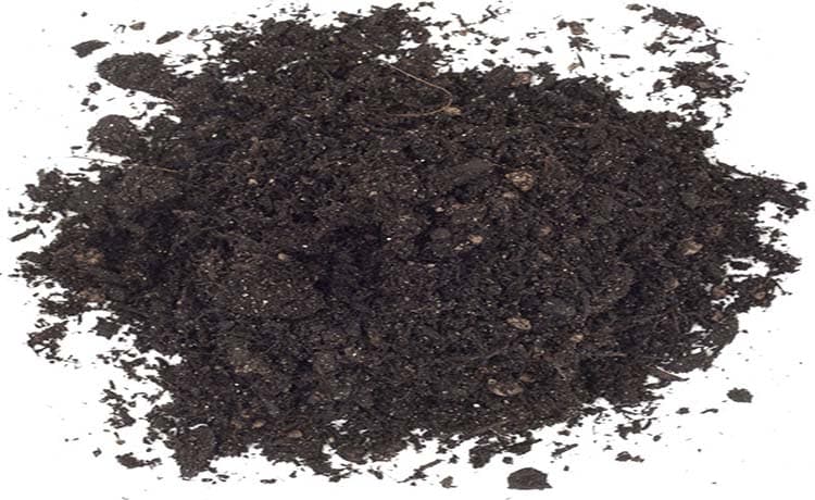 Soil