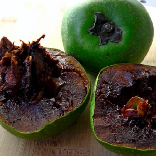 Black sapote - thumbnail 2