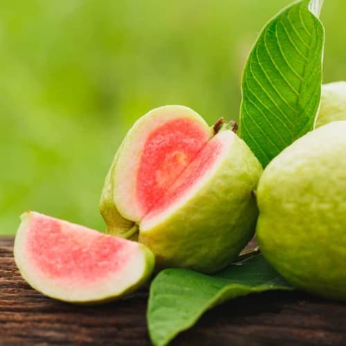 Guava (Cây ổi) - thumbnail 4