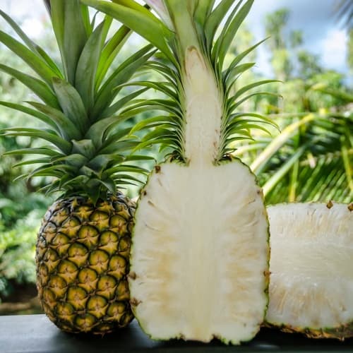 White Pineapple 3g