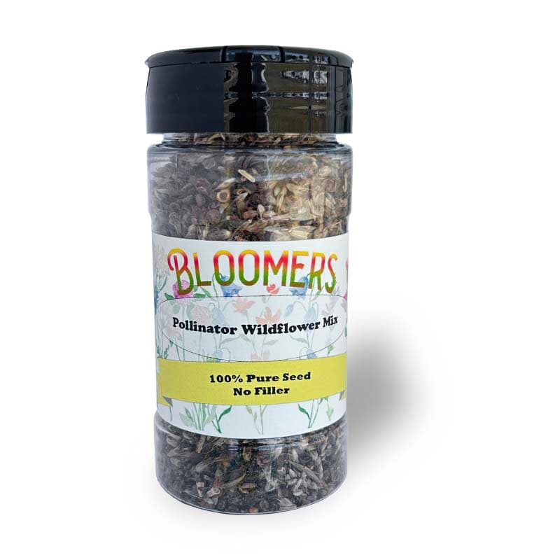 Pollinator Wildflower Mix Seed - thumbnail 2