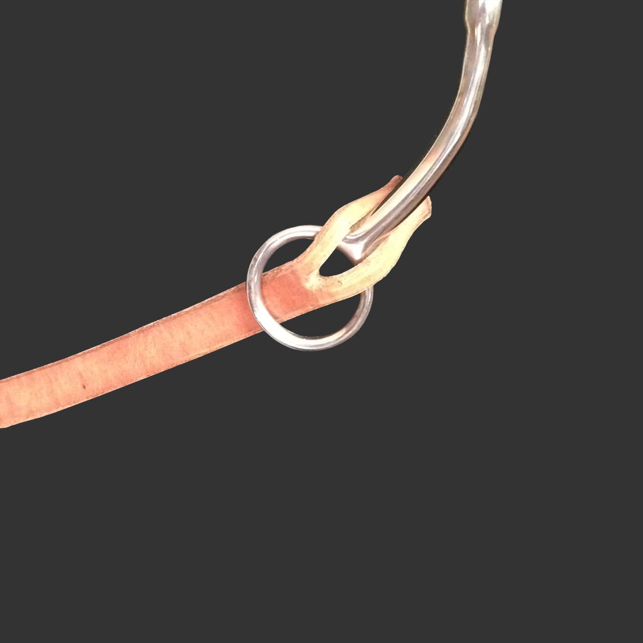 3/4" Reins with Slot Ends - thumbnail 2