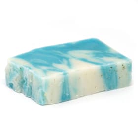 Shake Off Cellulite With Seaweed Soap