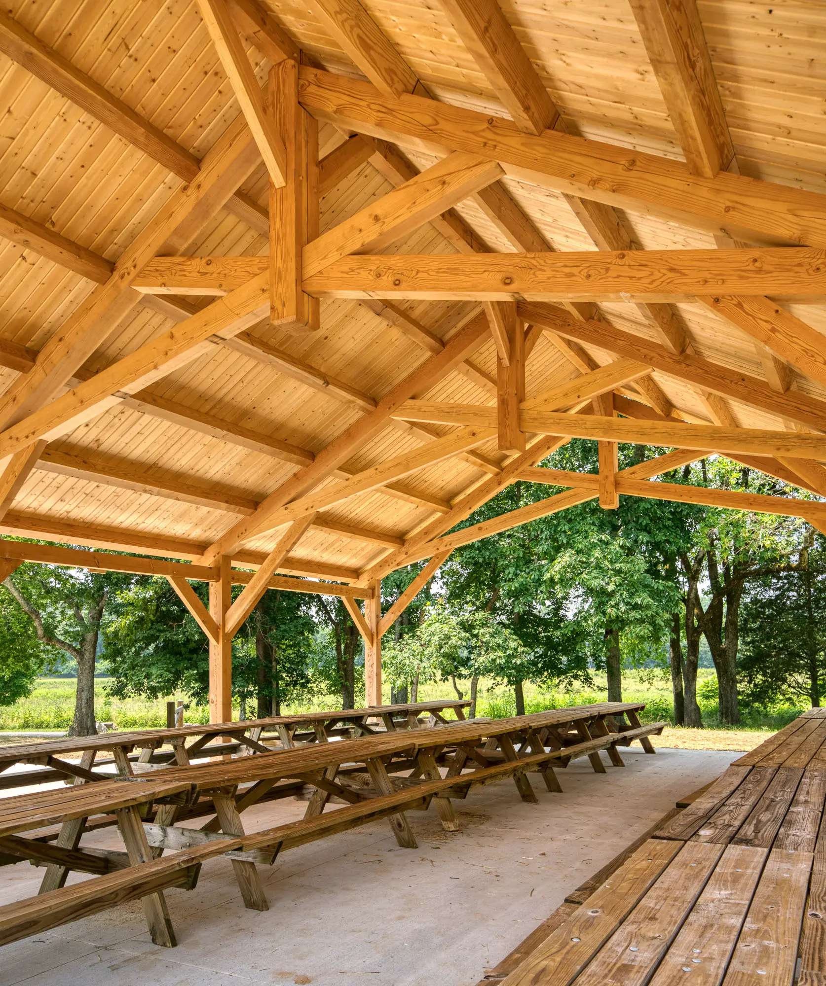 The Emory Pavilion Package - thumbnail 3