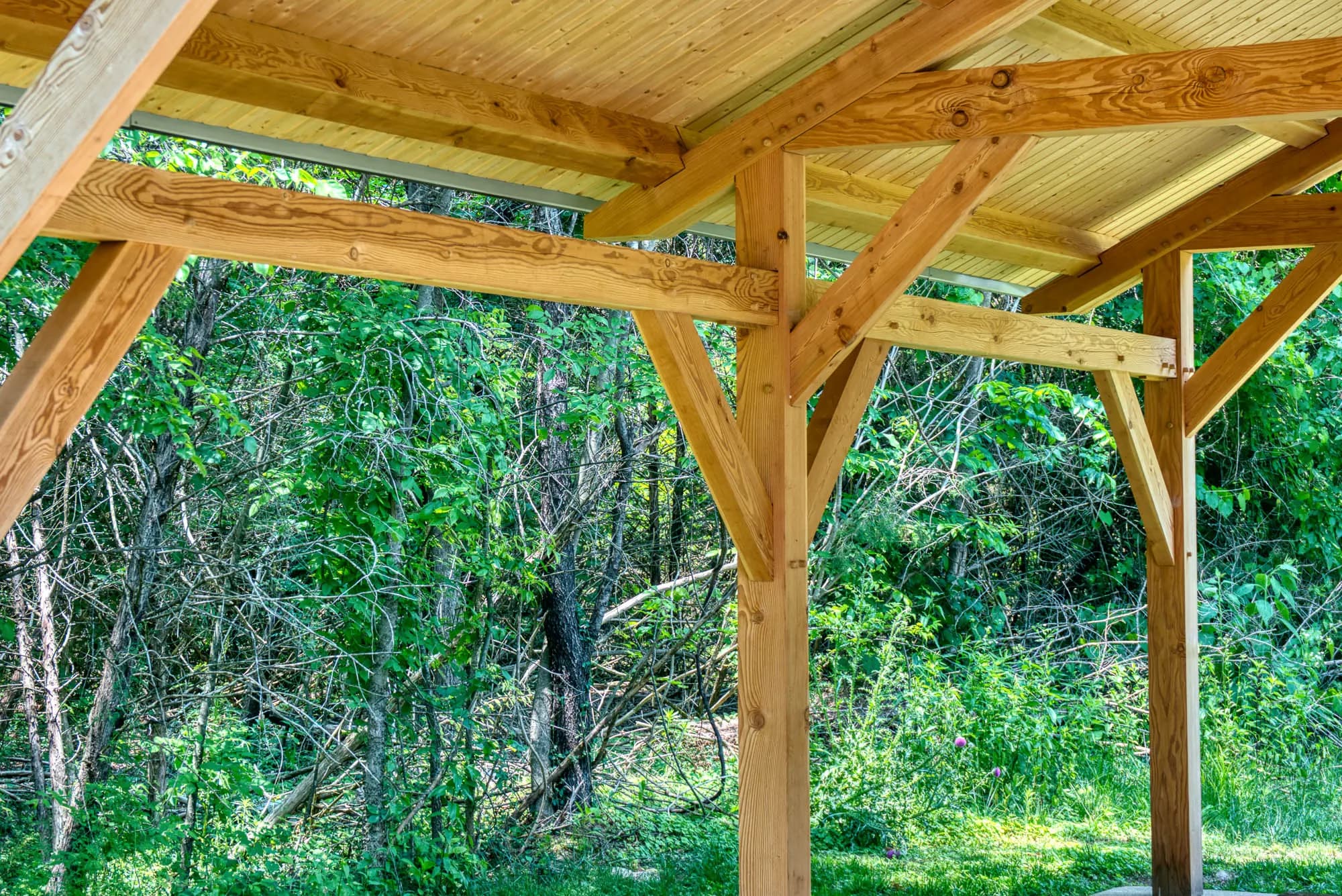 The Hiawassee Pavilion Package - thumbnail 7