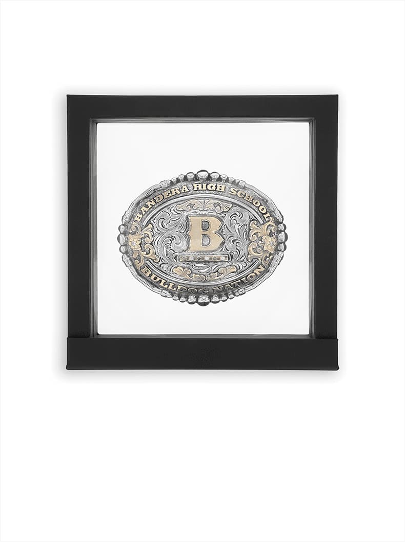Buckle Presentation Case
