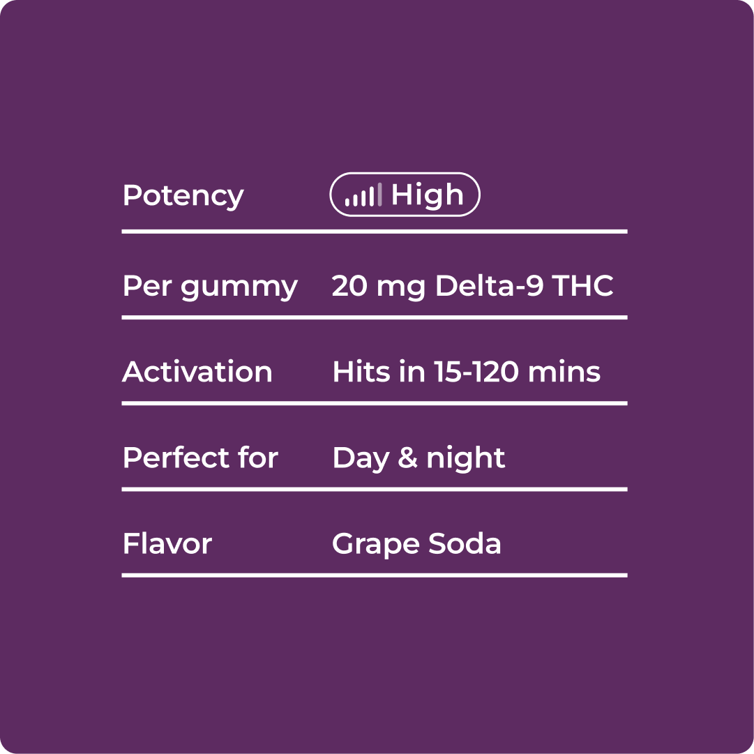 Grape Soda Shop THC Gummies 10 Count - thumbnail 2