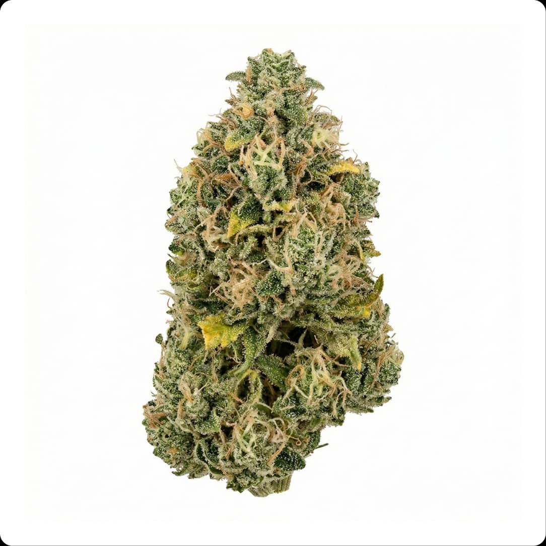 Durban Poison THCA Flower Ounce