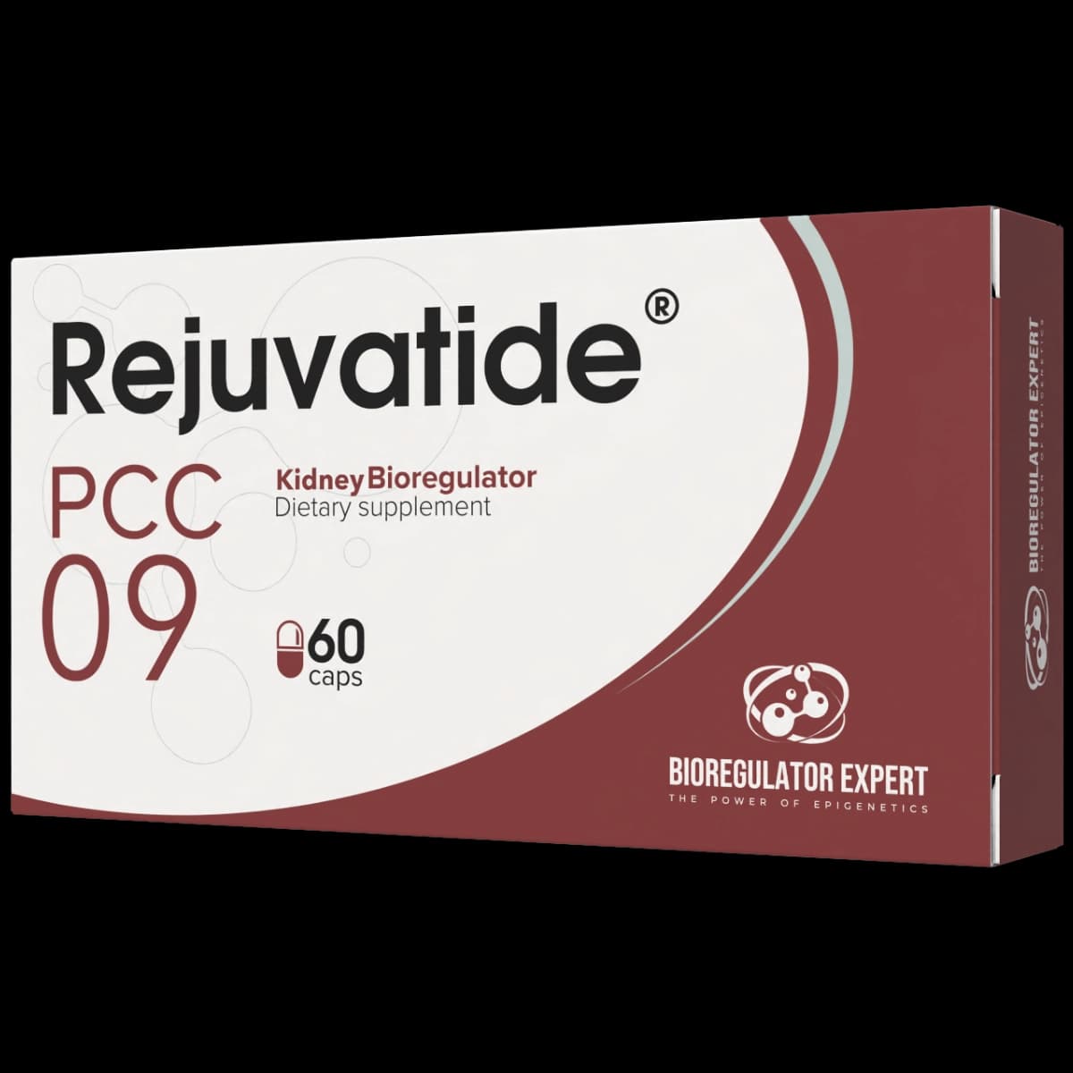 Kidney – PCC 09 - thumbnail 2