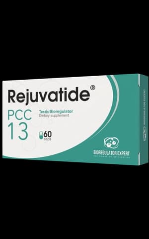 Testis – PCC 13
