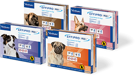 EFFIPRO® PLUS Topical Solution for Dogs