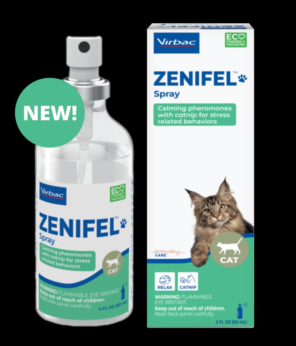ZENIFEL™ Spray