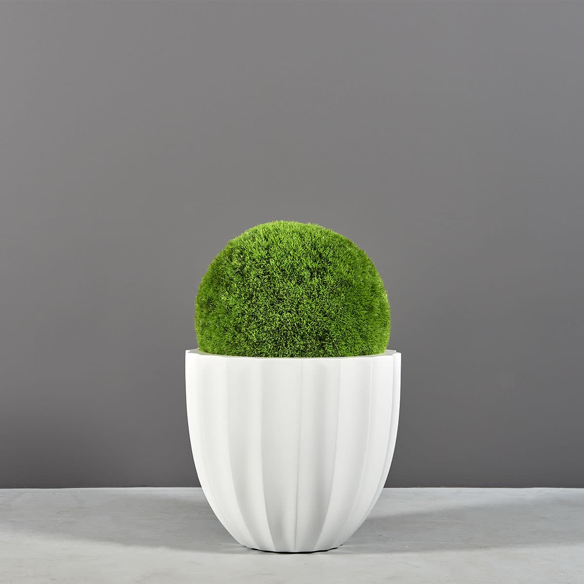 Santa Barbara Low Fluted Round Planter - thumbnail 2