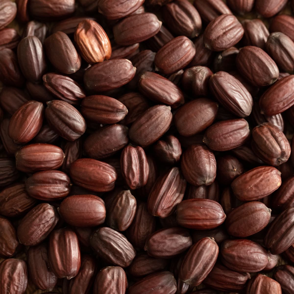 HobaCare Jojoba - thumbnail 6