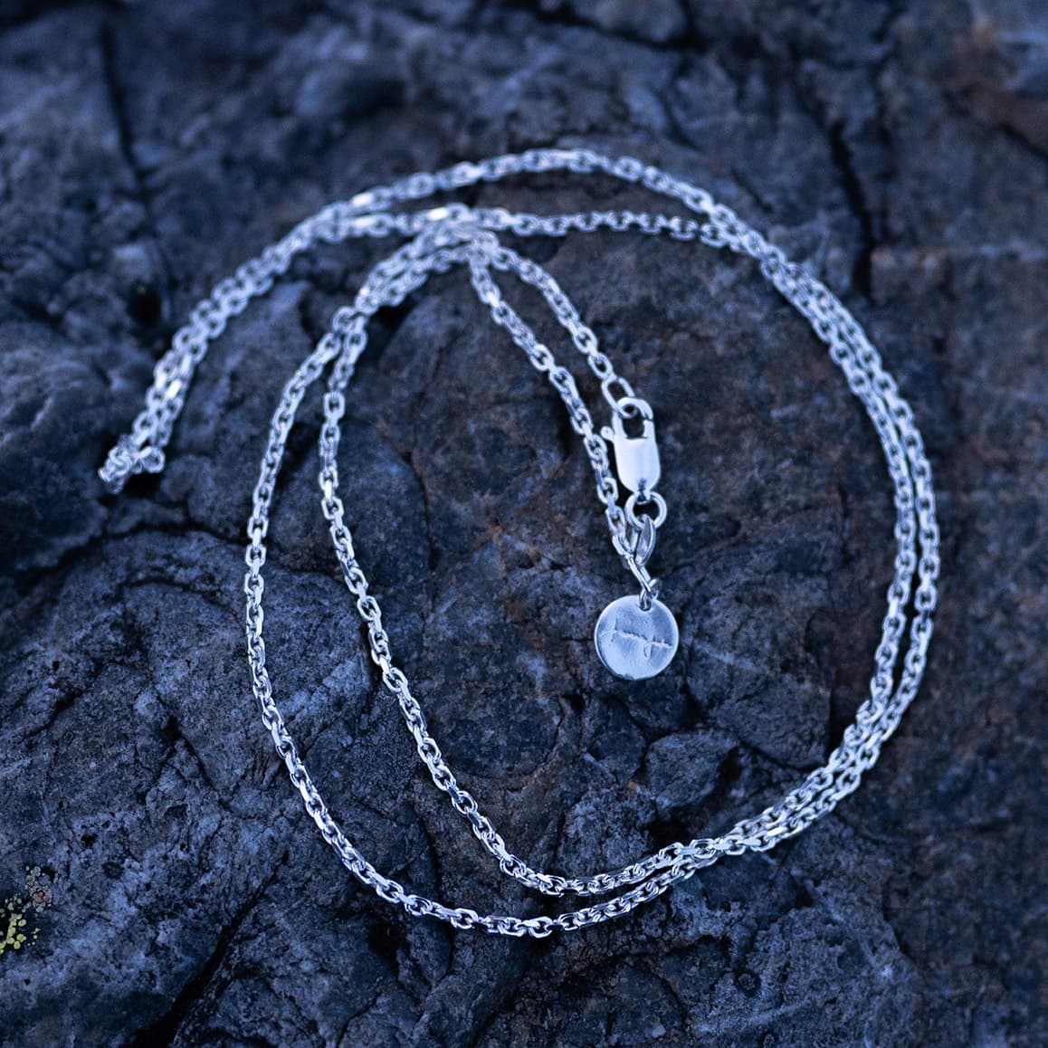 Silver Chain - thumbnail 2